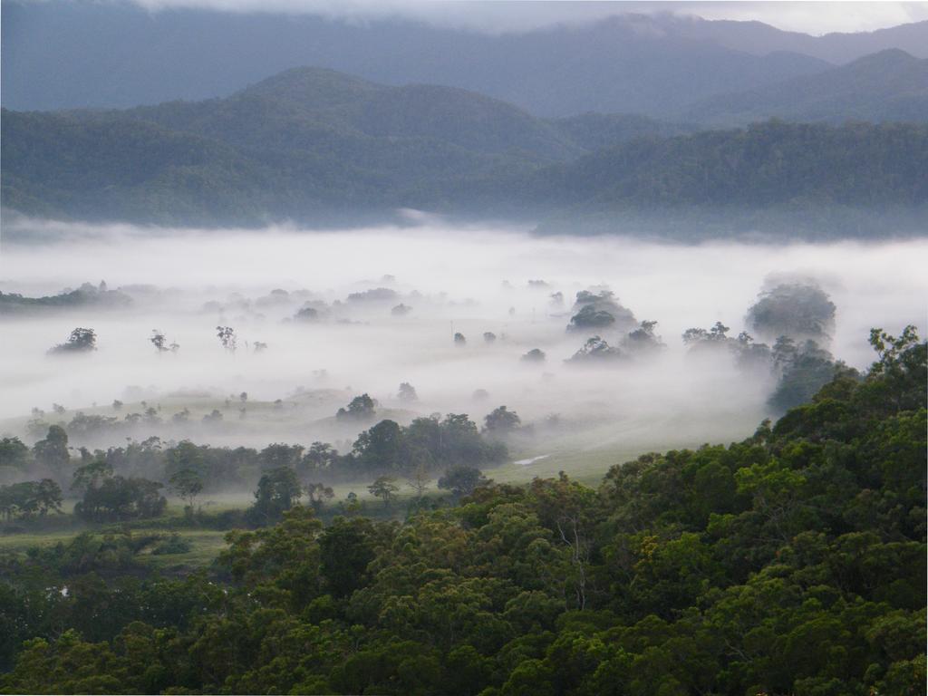 Cloud 9 Villa เดนทรี ภายนอก รูปภาพ